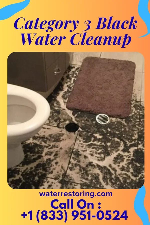 Category 3 Black Water Cleanup in Tipton, IN